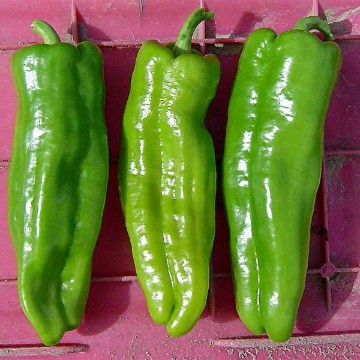 Key Largo Pepper Seeds