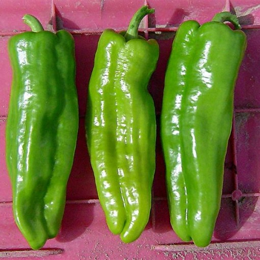Key Largo Pepper Seeds