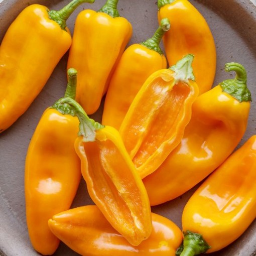 Nibbler Yellow Pepper Seeds