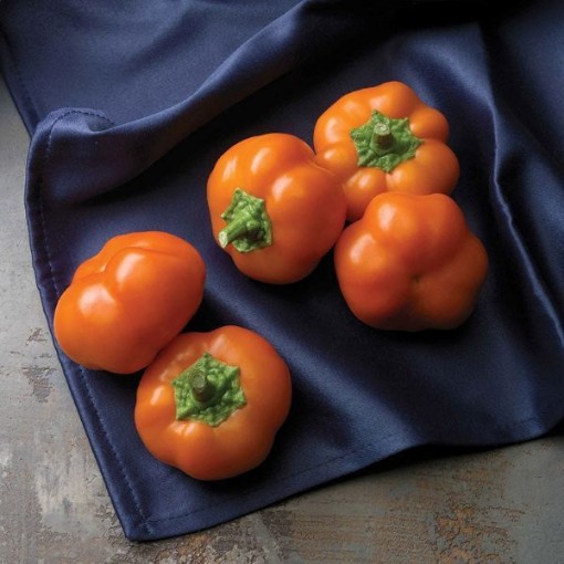 Orange You Sweet Peppers