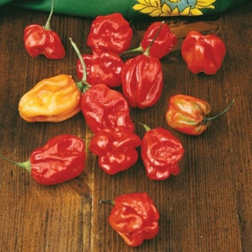 Sweet Red Habanero Pepper Seeds