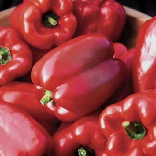 Wisconsin Lakes Pepper Seeds