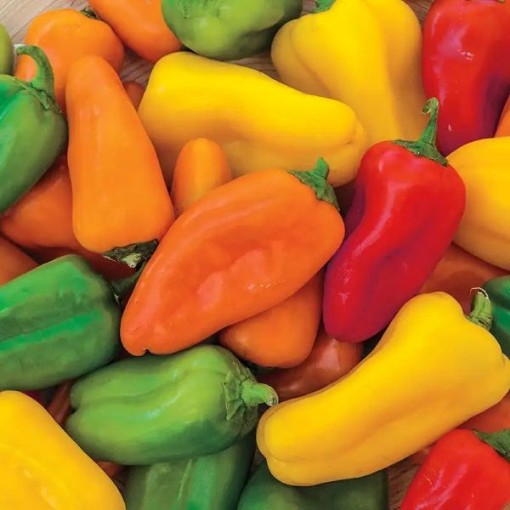Yum Yum Mix Pepper Seeds