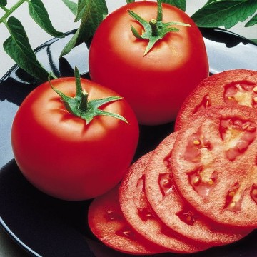 Bush Goliath Tomato Seeds