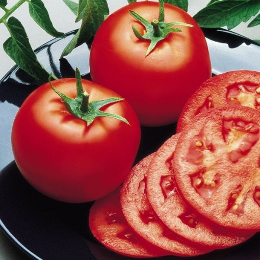 Bush Goliath Tomato Seeds