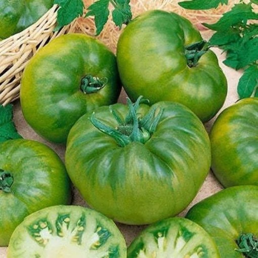 Cherokee Green Tomato Seeds