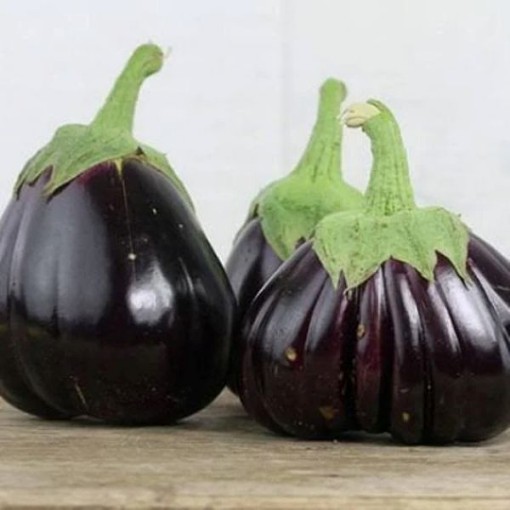 Aswad Eggplant Seeds