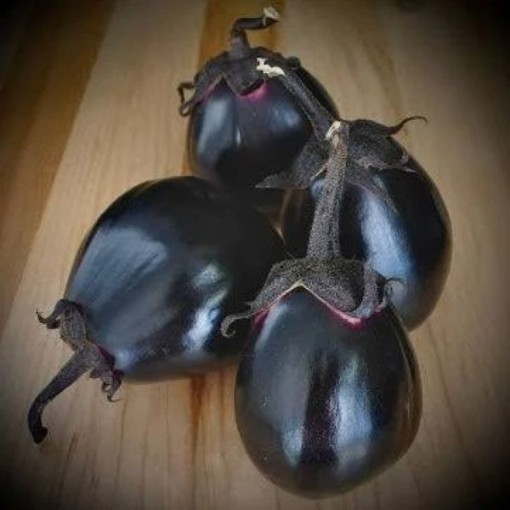 Mitoyo Eggplant Seeds
