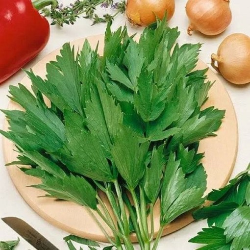Lovage Seeds