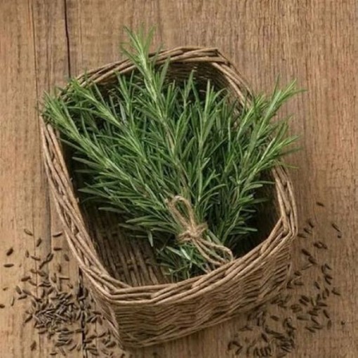 Picture of Rosemary Seeds
