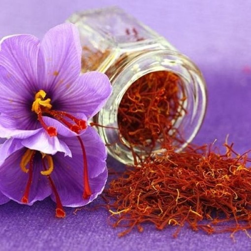Saffron Bulbs
