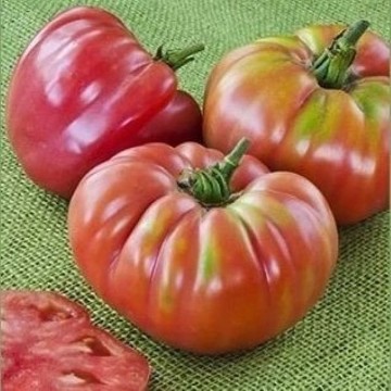 German Queen Tomato Seeds