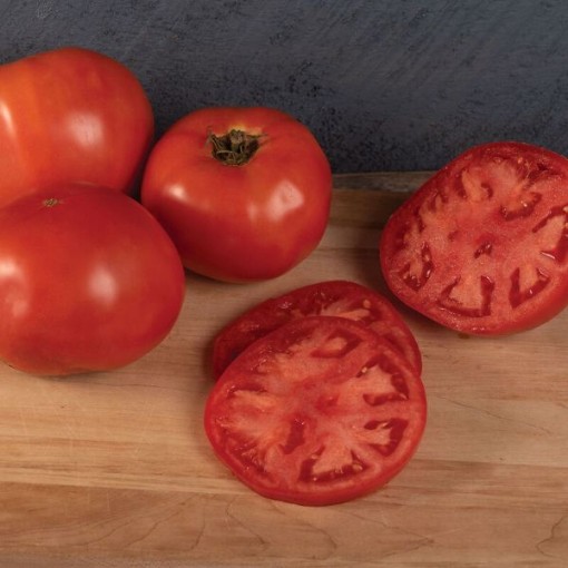 Galahad Tomato Seeds