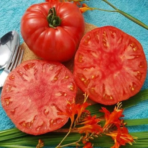 Giant Syrian Tomato Seeds