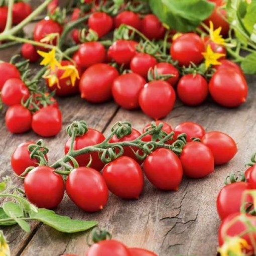 Grappoli d'Inverno Tomato Seeds