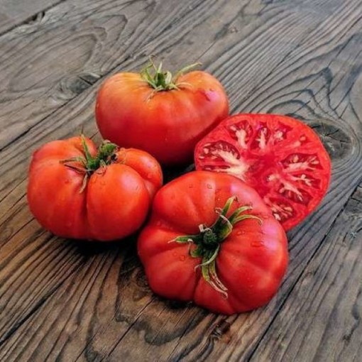 Gregori's Altai Tomato Seeds
