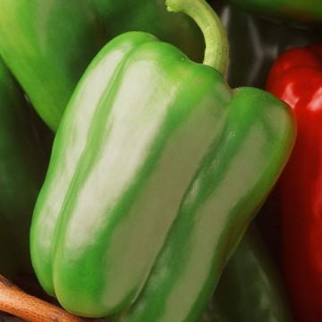 Sweet Bella Pepper Seeds