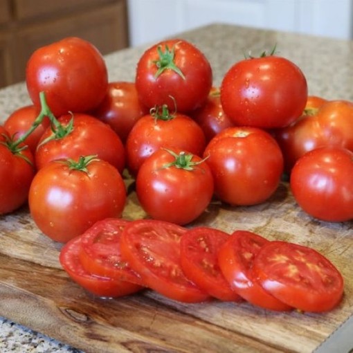Husky Cherry Red Tomato Seeds