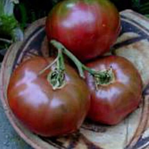 Indian Stripe Tomato Seeds