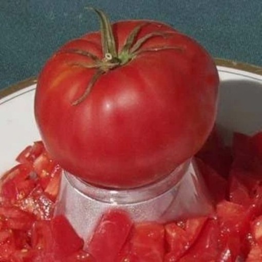 Large Pink Bulgarian Tomato Seeds