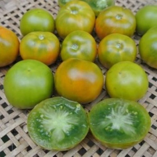 Lime Green Salad Tomato Seeds