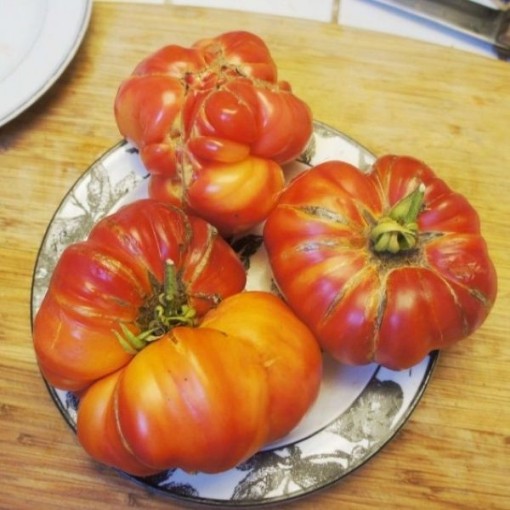 Mammoth German Gold Tomato Seeds