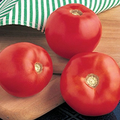 Mountain Spring Tomato Seeds