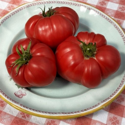 Olena Ukrainian Tomato Seeds