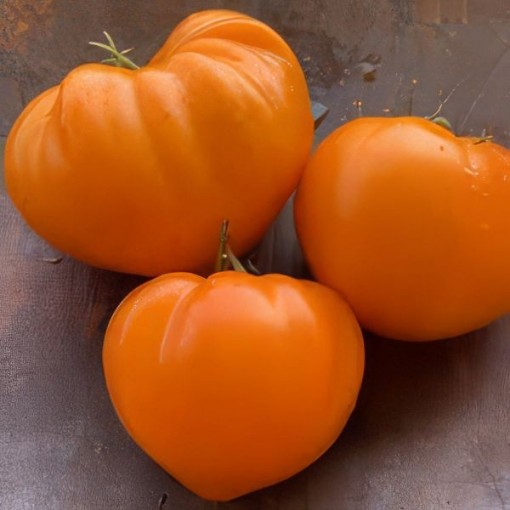 Orange Strawberry Tomato Seeds