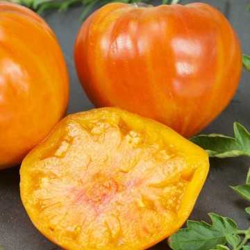 Patty's Striped Beefsteak Tomato Seeds