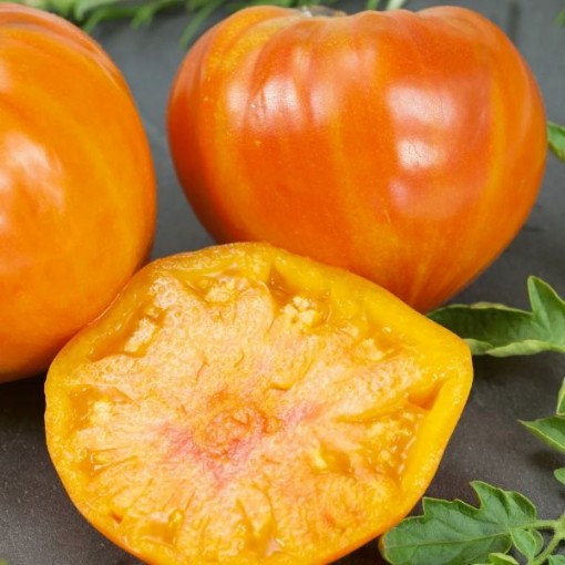 Patty's Striped Beefsteak Tomato Seeds