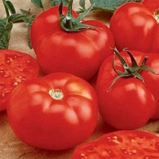 Royal Hillbilly Tomato Seeds