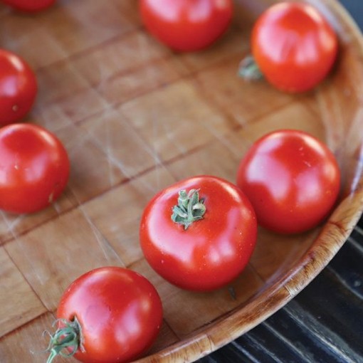 Red Racer Tomato Seeds