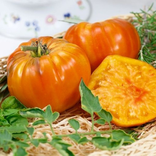 Striped German Tomato Seeds