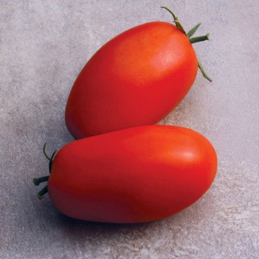 Supremo Tomato Seeds