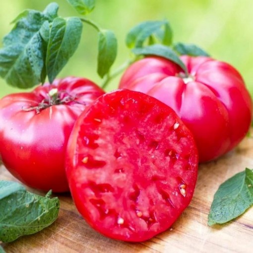 Vinson Watts Tomato Seeds