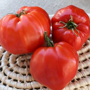 Wes Tomato Seeds