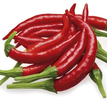 Chile de Arbol Pepper Seeds