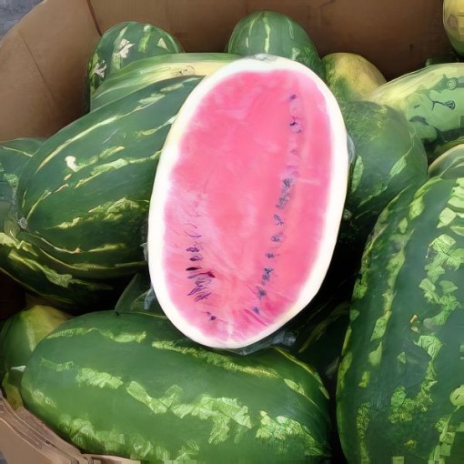 Ole Watermelon Seeds