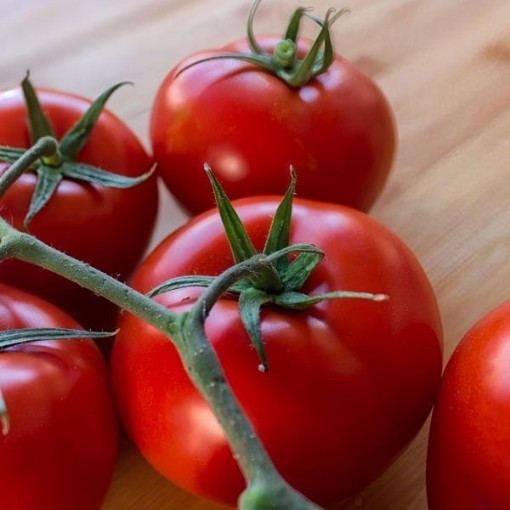 Mountain Delight Tomato Seeds