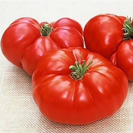 Neves Azorean Red Tomato Seeds