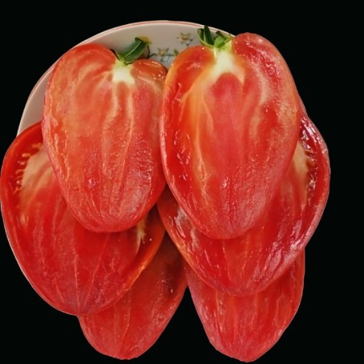 Kim's Civil War Oxheart Tomato Seeds