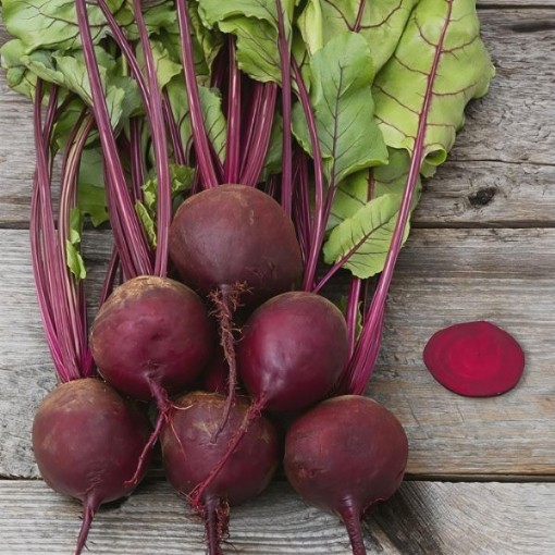Early Wonder Beet Seeds