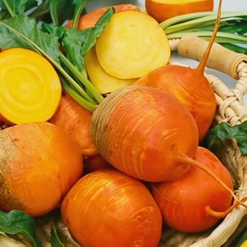 Golden Detroit Beet Seeds