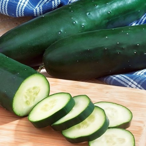 Diomede Cucumber Seeds