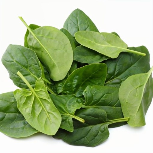 Early Hybrid No 7 Spinach Seeds