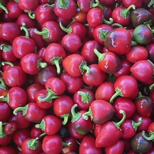 Satan's Kiss Pepper Seeds	
