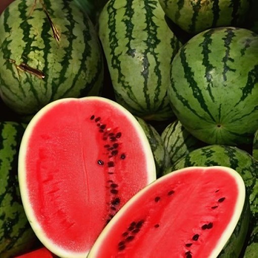 Cal Sweet Supreme Watermelon Seeds