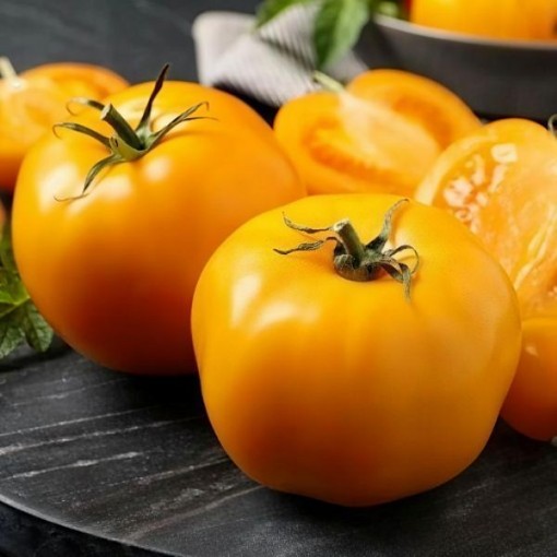 Sunray Tomato Seeds