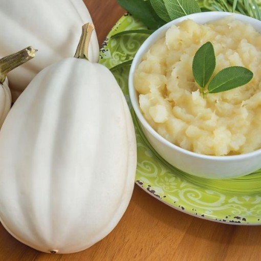 Mashed Potato Squash Seeds